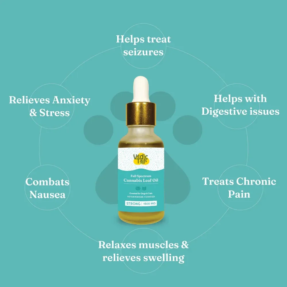 Vedic Tails Strong Cannabis Leaf Oil for Dogs and Cats - Image 2