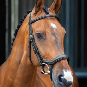 Velociti Lusso Ergonomic Flash Bridle
