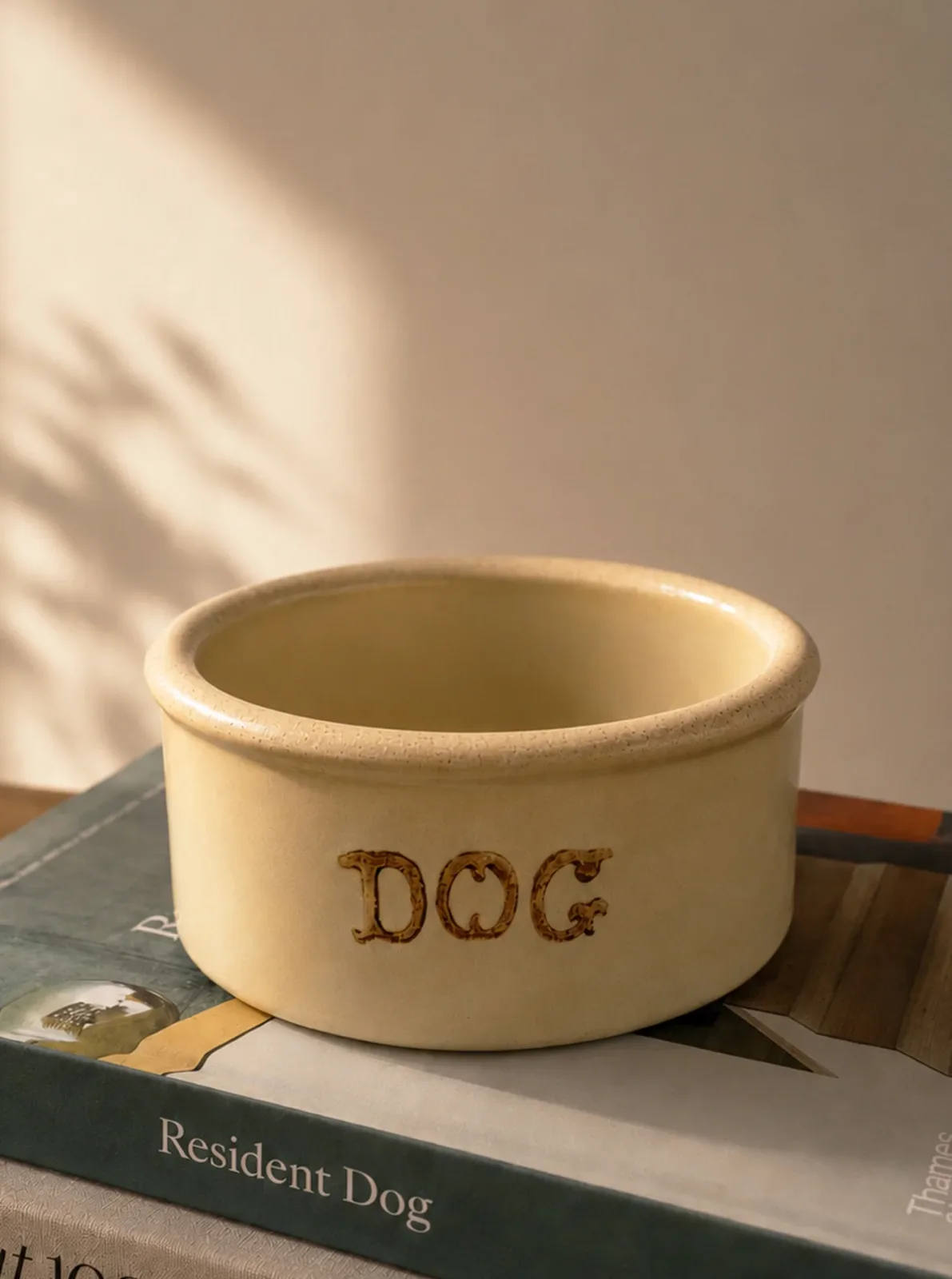 VINTAGE ROBINSON RANSBOTTOM FARM DOG BOWL