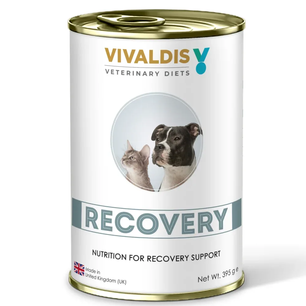 Vivaldis V Diet Recovery Diet Dog and Cats Wet Food