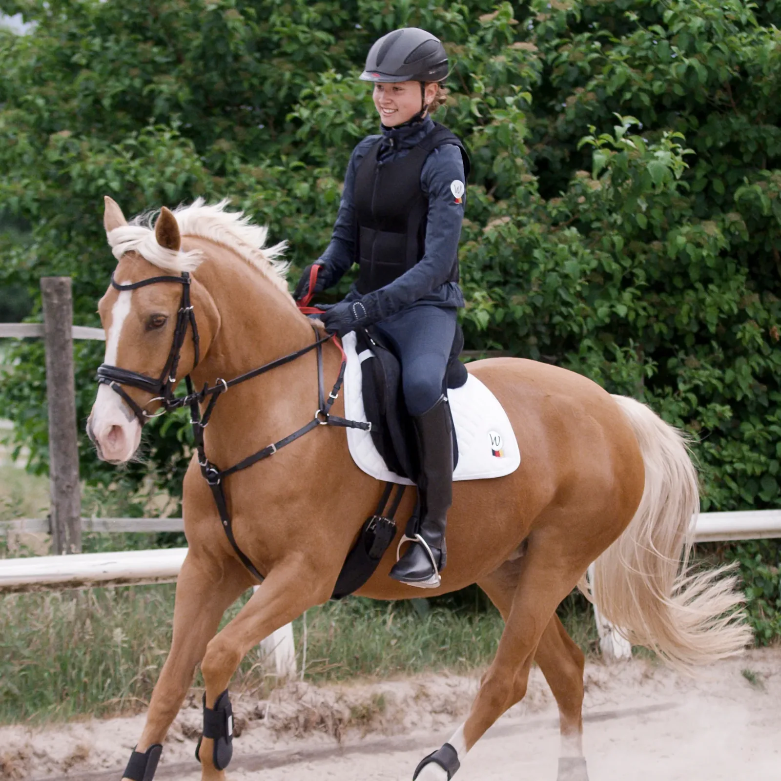 Waldhausen Secutrust Breastplate with Safety Reins - Image 2