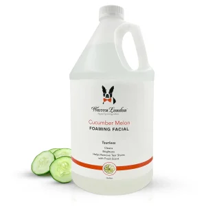 Warren London Cucumber Melon Foaming Facial