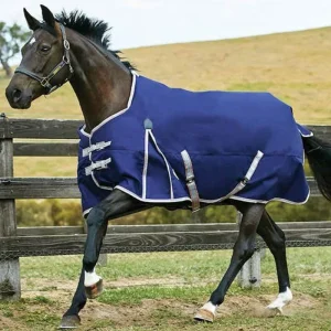 Weatherbeeta ComFiTec Essential Medium Weight Blanket