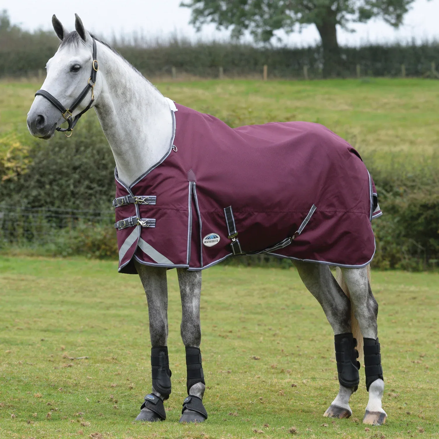 WeatherBeeta® ComFiTec™ Plus Dynamic II Standard Neck Medium-Weight Turnout Blanket