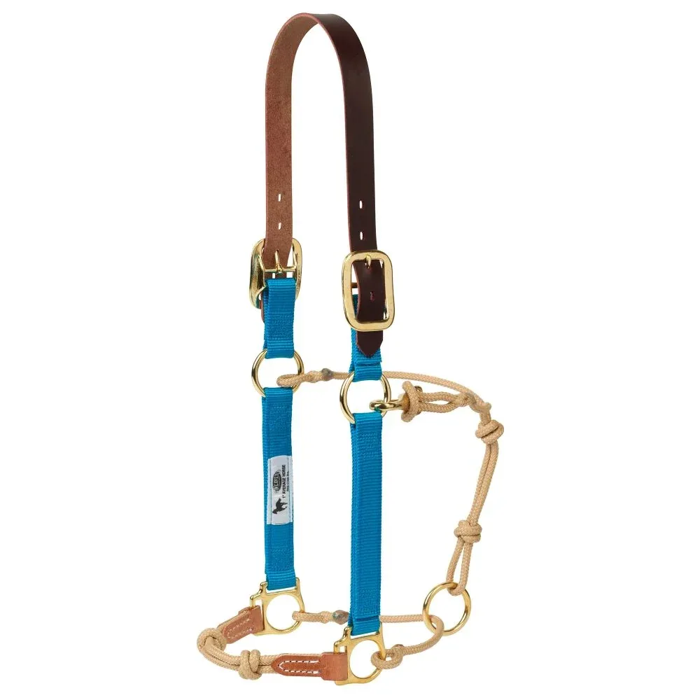 Weaver Leather Kalley Krickeberg Breakaway Horseman's Weanling Halter