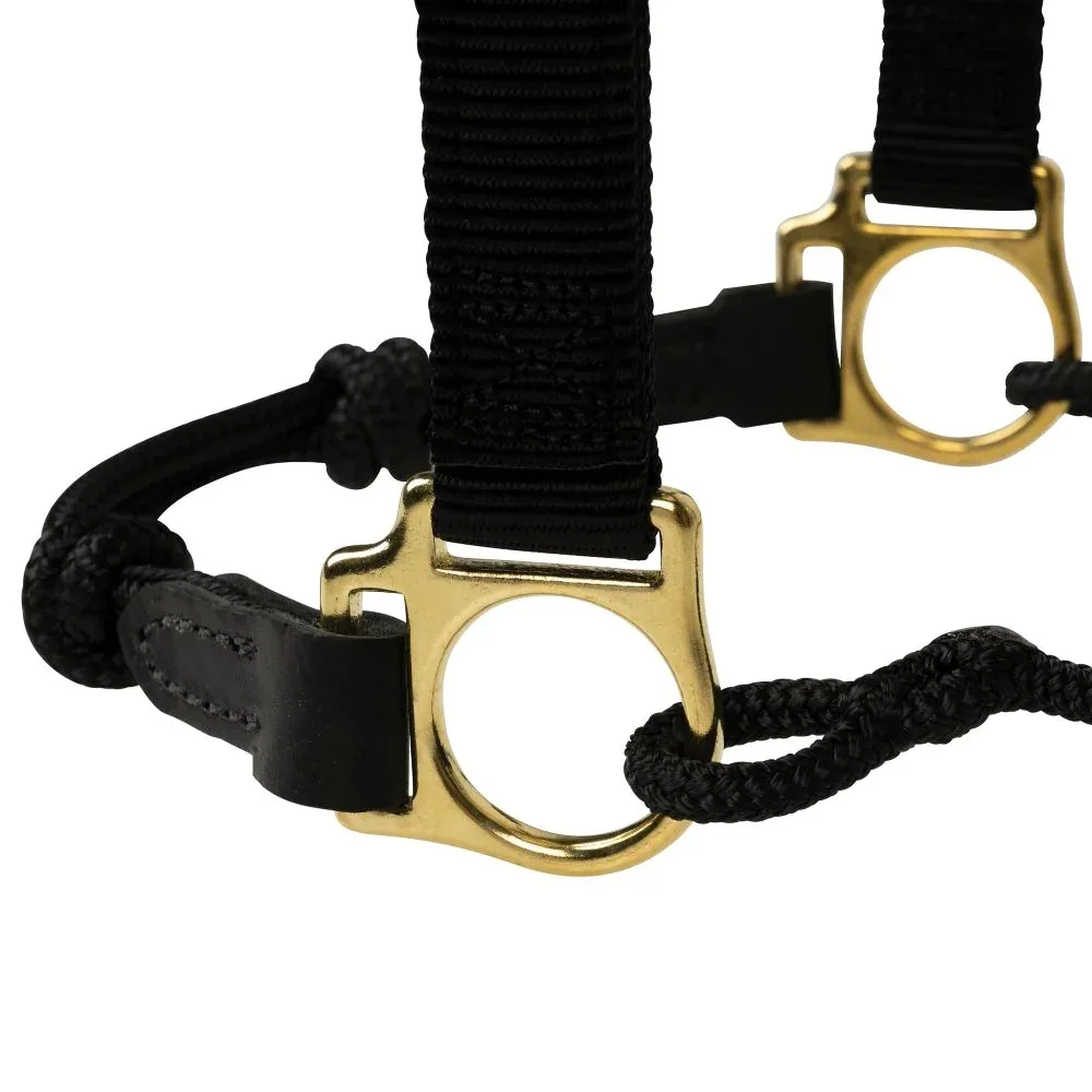 Weaver Leather Kalley Krickeberg Breakaway Horseman's Weanling Halter - Image 2