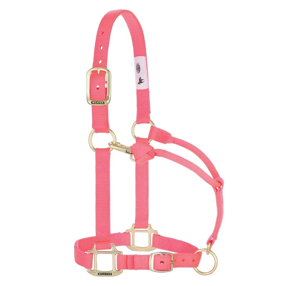 Weaver Leather Large Horse Adjustable Nylon Halter - Image 2