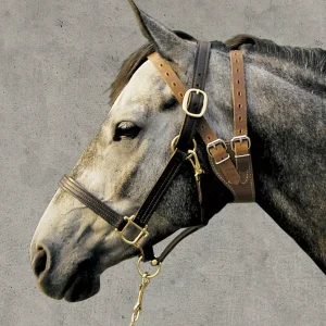 Weaver Leather® Miracle Collar®