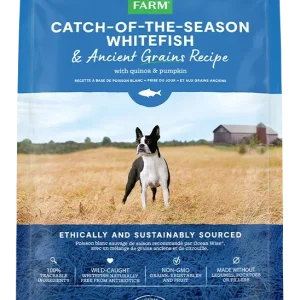 Whitefish & Ancient Grains Dog Kibble