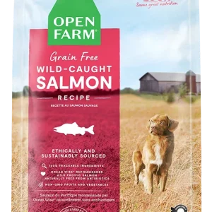 Wild-Caught Salmon Grain-Free Dog Kibble