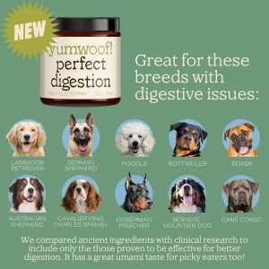 Yumwoof Perfect Digestion Non-GMO Dog Food Topper 2.6OZ
