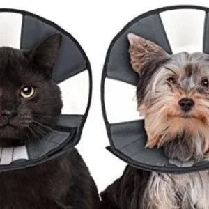 ZenPet Zen Cone Soft Recovery Collar