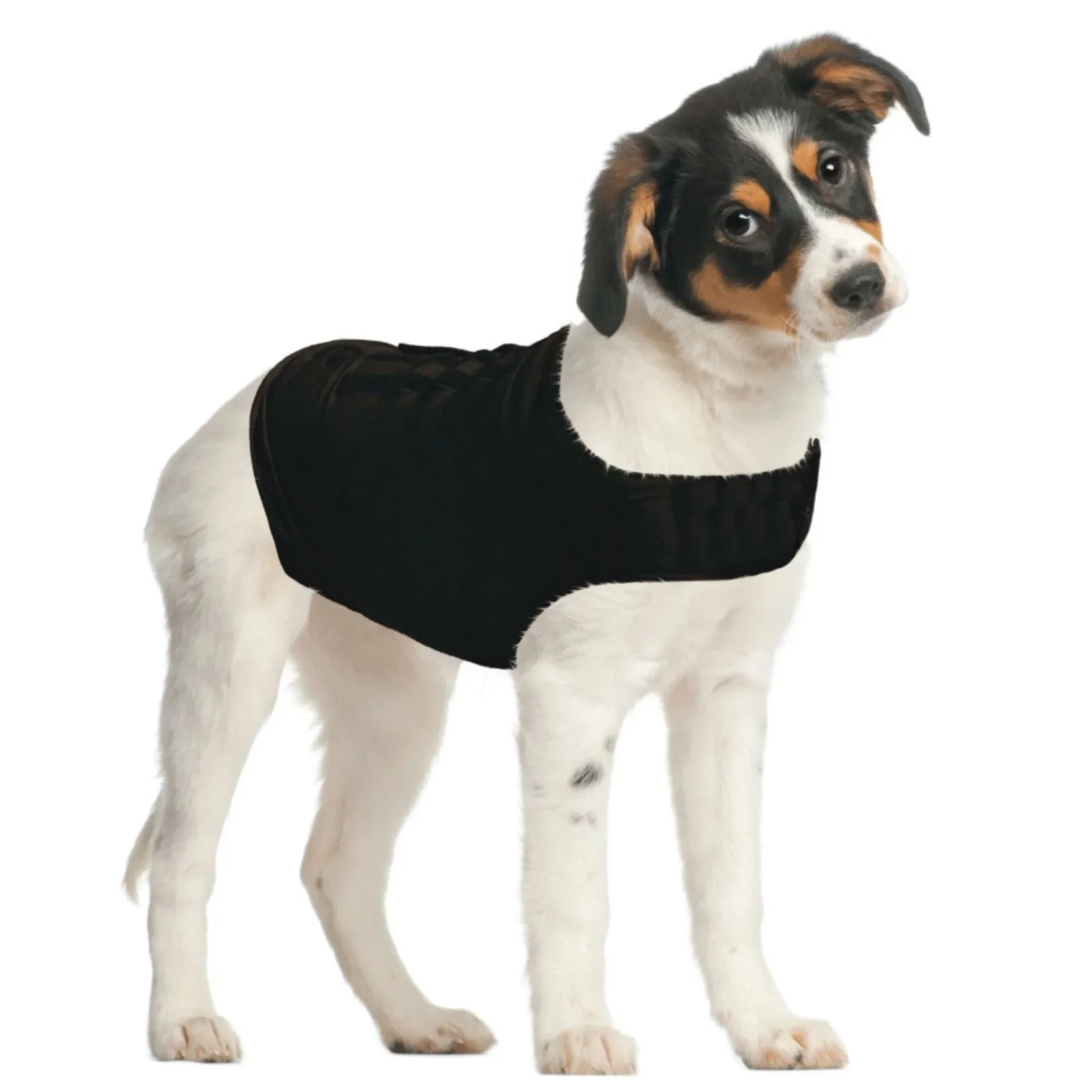 ZenPet ZenDog+ Compression Shirt Small - Image 2