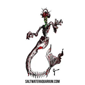 Zombie Mermaid SaltwaterAquarium.com Sticker (FREE OVER $50) - SAQ.com