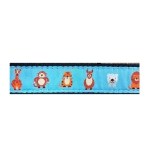 Zoo Animals