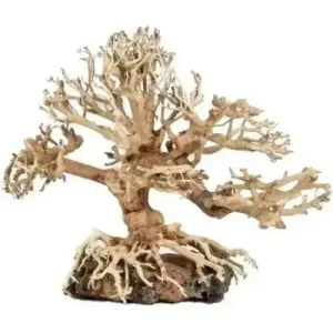 Zoo Med Dragon Bonsai Tree Aquarium Decoration