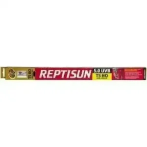 Zoo Med ReptiSun 5.0 UVB Replacement Bulb