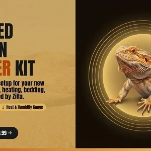 🦎 Bearded Dragon Starter Kit